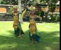 bali1a3.jpg