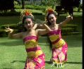 bali5a2.jpg