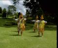 bali5a3.jpg