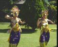 bali5a4.jpg