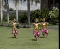 bali8a1.jpg