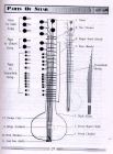 e17.jpg